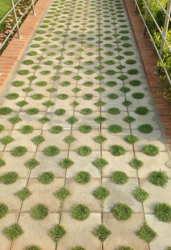 landscaping in chennai, landscape designers in chennai, garden maintenance in chennai, garden management in chennai, terrace gardens in chennai, 